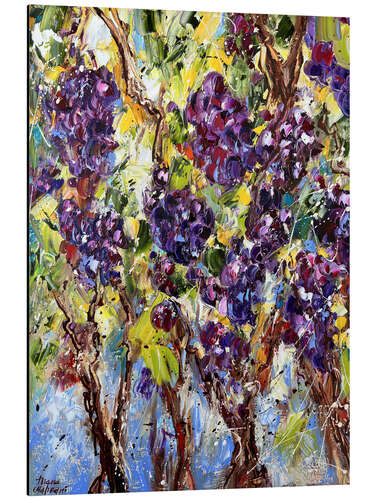 Obraz na aluminium Grapes