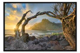 Gerahmter Kunstdruck Teneriffa, Punta del Hidalgo