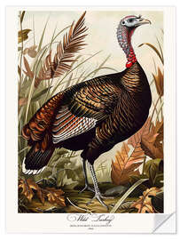 Självhäftande poster Wild Turkey after Audubon