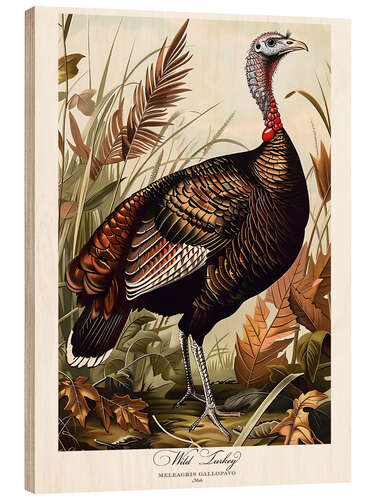 Cuadro de madera Wild Turkey after Audubon