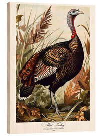 Print på træ Wild Turkey after Audubon