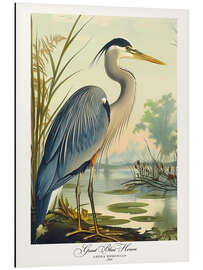 Tableau en aluminium Great Blue Heron after Audubon