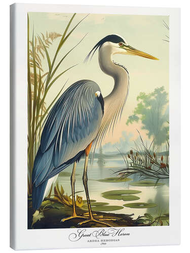 Canvas-taulu Great Blue Heron after Audubon