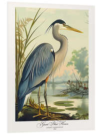 Tableau en PVC Great Blue Heron after Audubon