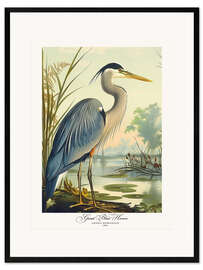 Framed art print Great Blue Heron after Audubon