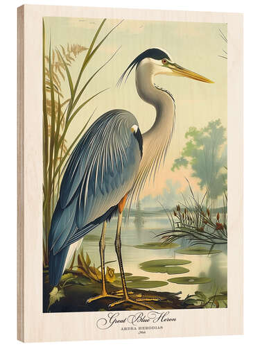 Cuadro de madera Great Blue Heron after Audubon