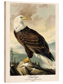 Print på træ Bald Eagle after Audubon