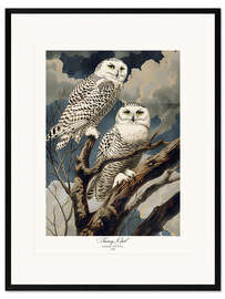 Framed art print Snowy Owls after Audubon