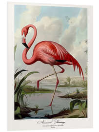 Hartschaumbild Amerikanischer Flamingo nach Audubon I