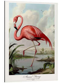Magnettafel Amerikanischer Flamingo nach Audubon I