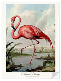 Självhäftande poster American Flamingo after Audubon I