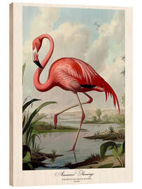 Print på træ American Flamingo after Audubon I