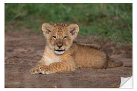 Sticker mural Cheeky lion cub