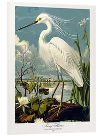 Tableau en PVC Snowy Heron after Audubon