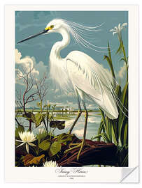 Självhäftande poster Snowy Heron after Audubon