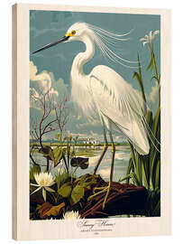 Print på træ Snowy Heron after Audubon