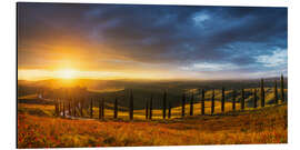 Alubild Zypressenallee in der Toskana zum Sonnenuntergang - Moqui, Daniela Beyer