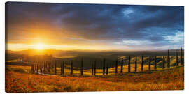 Canvas print Cypress avenue in Tuscany at sunset - Moqui, Daniela Beyer
