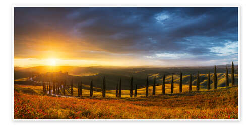 Poster Cypress avenue in Tuscany at sunset