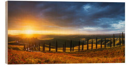 Tableau en bois Cypress avenue in Tuscany at sunset