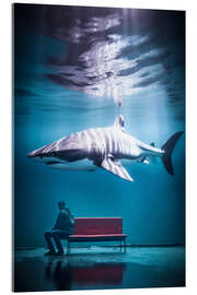 Quadro em acrílico Alone with an aquarium shark - Gen Z
