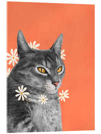 Acrylic print Cat with chamomile flowers - Valeriya Korenkova