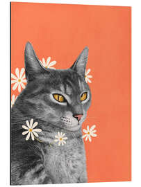 Cuadro de aluminio Cat with chamomile flowers - Valeriya Korenkova