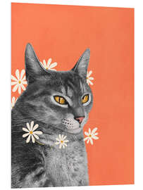 Hartschaumbild Katze mit Kamillenblüten - Valeriya Korenkova