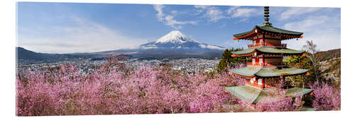 Quadro em acrílico Fuji and the beauty of Japan