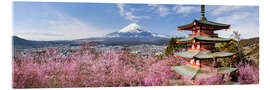 Quadro em acrílico Fuji and the beauty of Japan - Melanie Viola