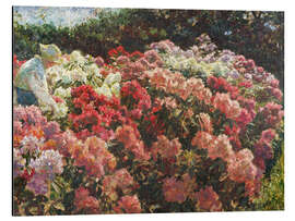 Aluminium print Rhododendron in Dagminne's garden, 1917 - Laurits Regner Tuxen