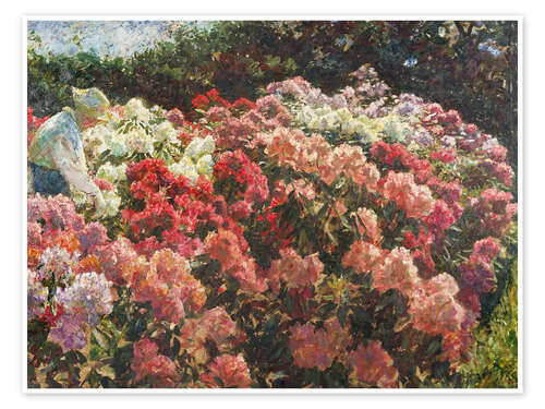 Juliste Rhododendron in Dagminne's garden, 1917