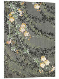 Acrylglasbild Florales Design aus Shin-bijutsukai, 1901-1902 - Korin Furuya