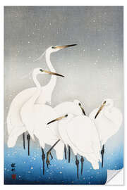 Autocolante decorativo Egrets in the snow