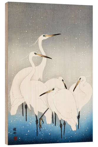 Trebilde Egrets in the snow