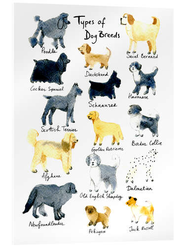 Tableau en verre acrylique Types of dog breeds