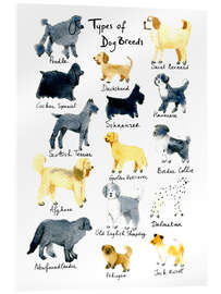 Tableau en verre acrylique Types of dog breeds - Patruschka