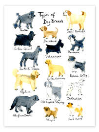 Wall print Types of dog breeds - Patruschka