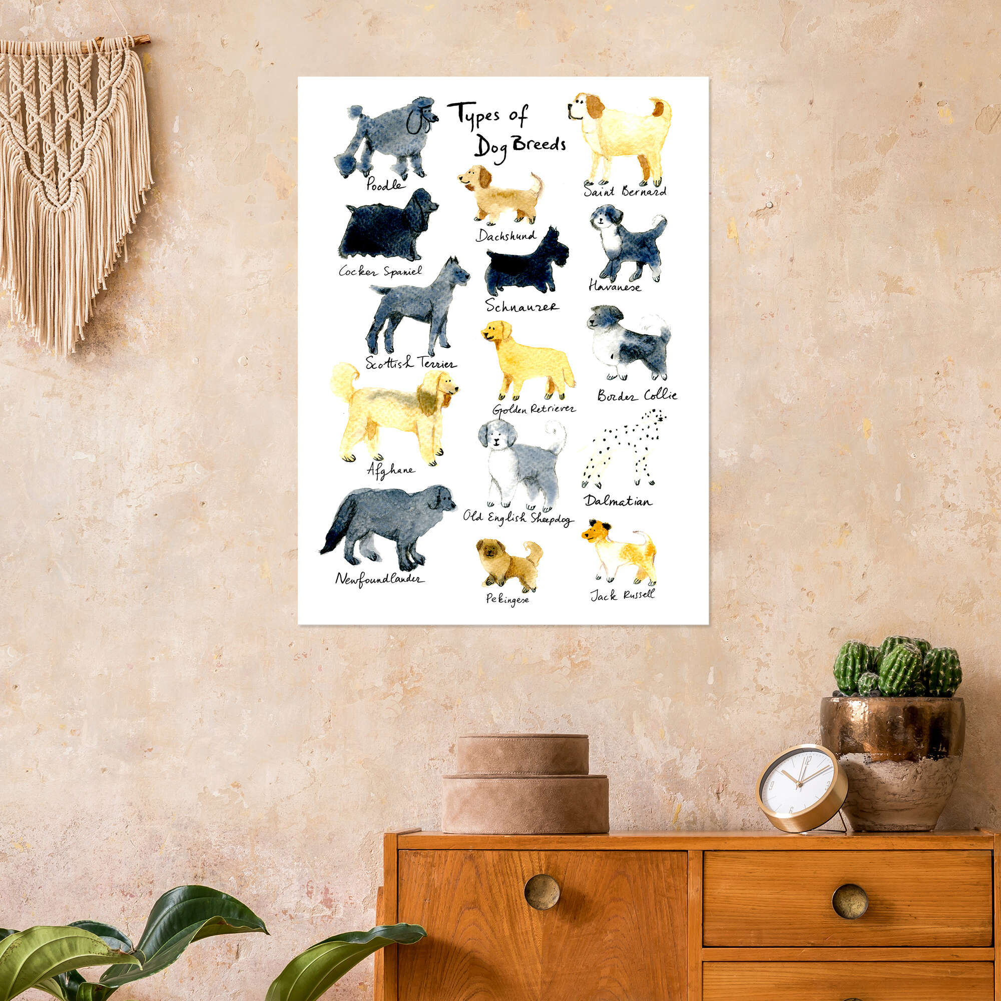 Popular Breeds Of Horses Wall Art Chart Poster Paper Laminated In Various Sizes | UK - Foto 10