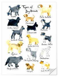 Autocolante decorativo Types of dog breeds - Patruschka