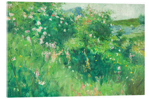 Tableau en verre acrylique Briar-Rose Bushes Flowering on the Isle of Tjörn