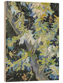 Obraz na drewnie Acacia in Flowers - Vincent van Gogh