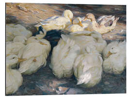 Tableau en aluminium In the evening sun - Alexander Koester