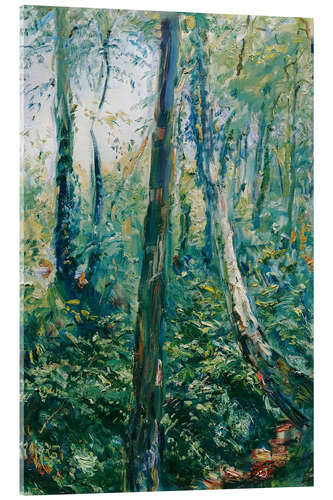 Quadro em acrílico Forest Way