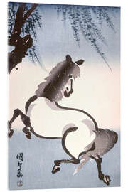 Acrylglas print Horse under Willow