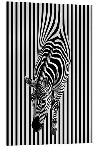 Acrylic print Zebra Stripes