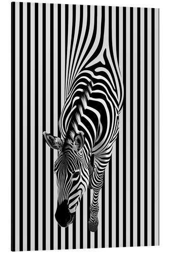 Obraz na aluminium Zebra Stripes