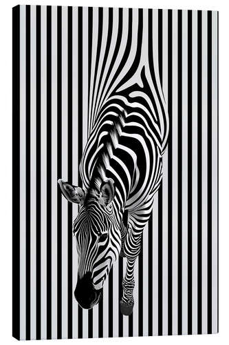 Lienzo Zebra Stripes