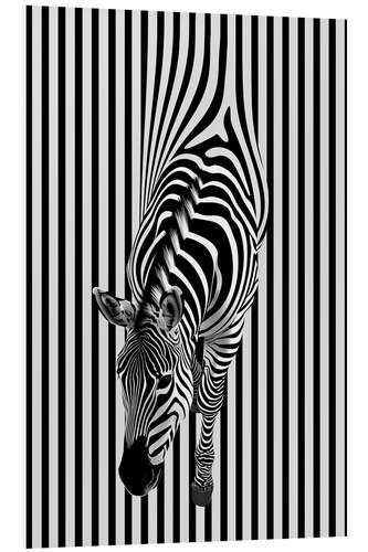 PVC-tavla Zebra Stripes