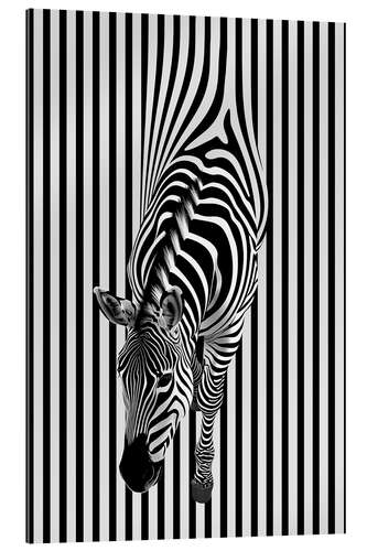 Cuadro de plexi-alu Zebra Stripes